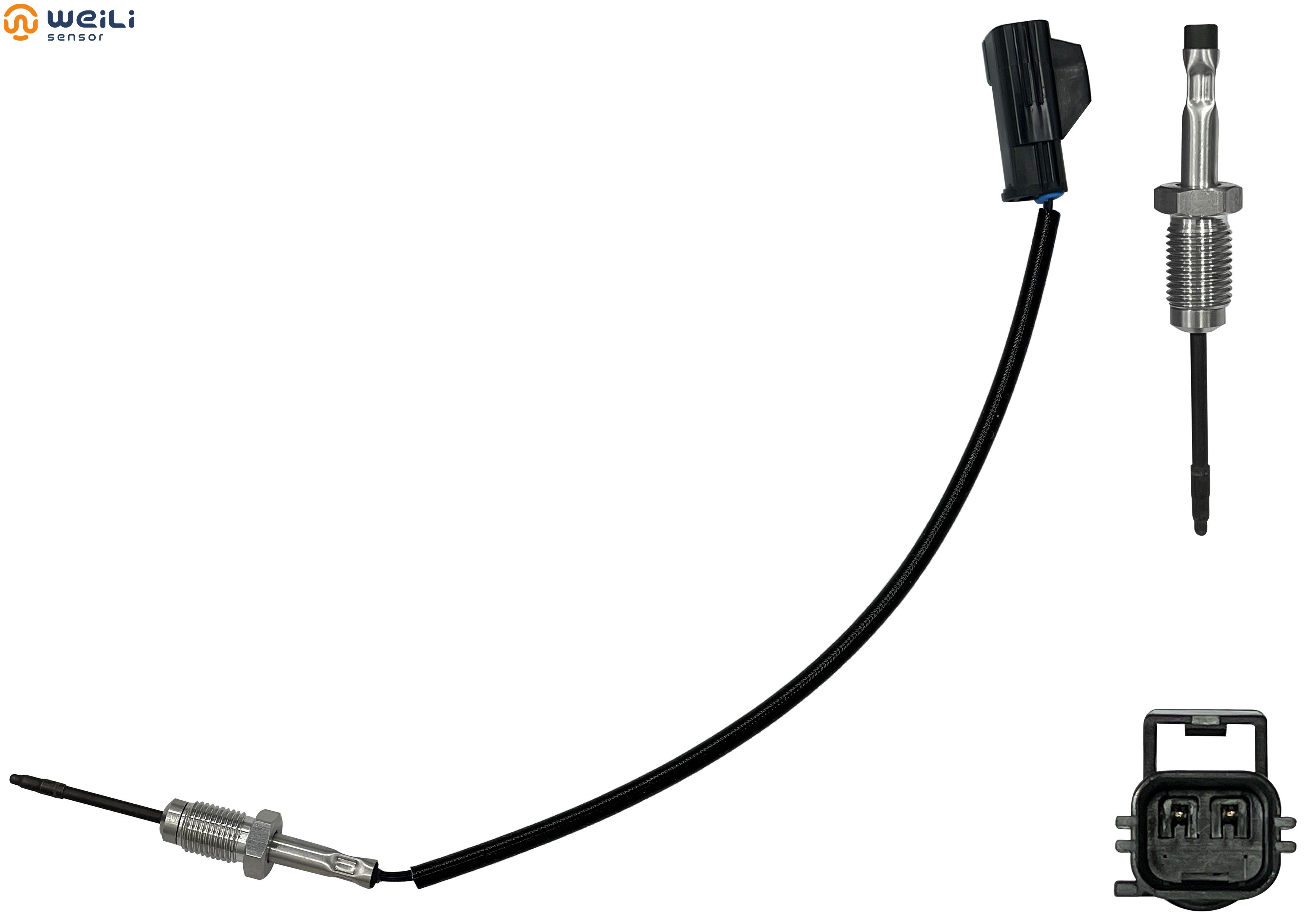 WL-T05013 Image