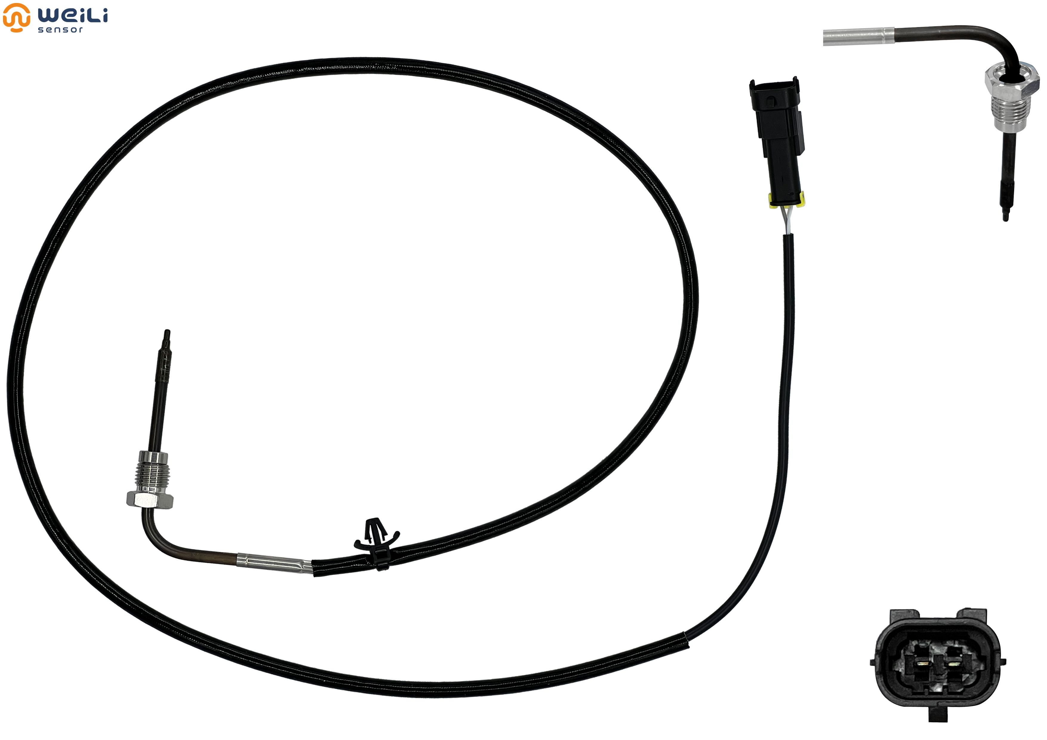 WL-T12013 Image