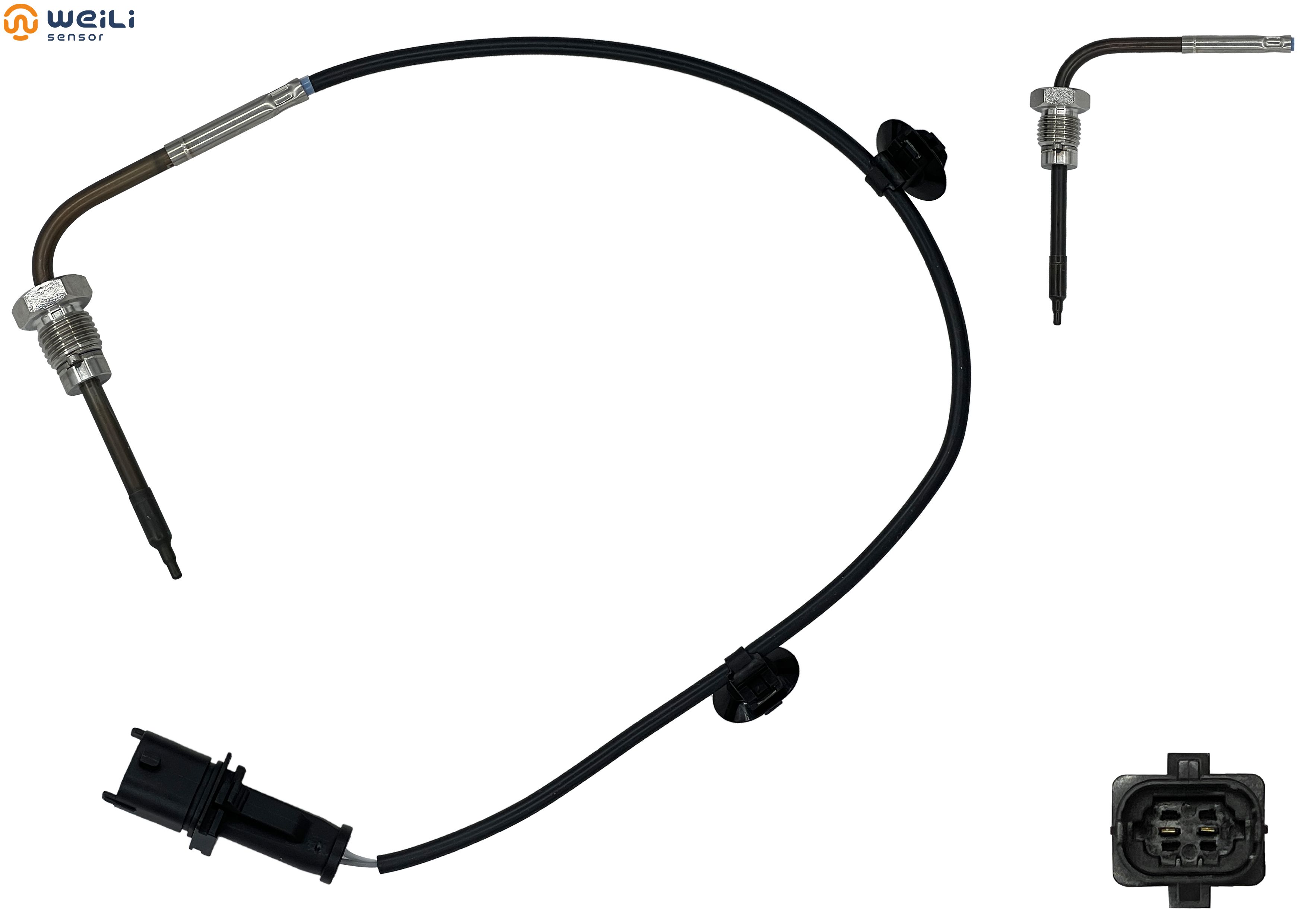 WL-T13003 Image